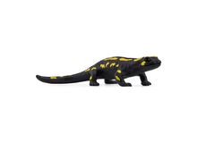 schleich WILD LIFE Gürteltier, 2 image