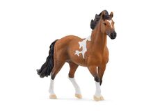 schleich HORSE CLUB Araber Stute, 5 image