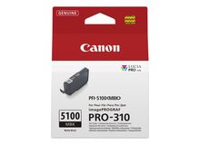 Canon imagePROGRAF PRO-310 Tintenstrahldrucker Farbe 4800 x 2400 DPI A3+ WLAN, 12 image