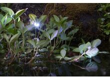 HEISSNER L551-00 Beleuchtungs-Zubehör LED-Beleuchtungssteuerung, 4 image