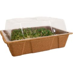 Romberg Eco Mini Anzuchthaus 20x15x8cm, 1x Haube 3x Tray, 3x Erde, 3x Holzeti.
