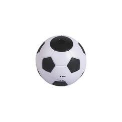 Brunnen Spitzer Fussball