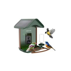 Camouflage EZ BirdFeed 1