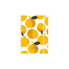 Simplex Wochenagenda Harmony 2027 1 Woche/2 Seiten, 148x210mm, Birds