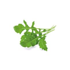 Click & Grow Click and Grow Rucola Nachfüllpackung 3er Set