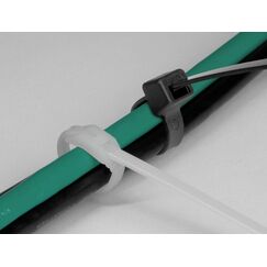 DeLOCK Kabelbinder mit flachem Kopf L 205 x B 2,5 mm 100 Stück