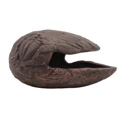 Repto Deco cocoon brown l