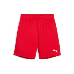 PUMA Shorts teamGOAL Jr Grösse: 116, Farbe: red