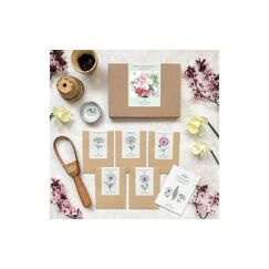 Blumenstrauss zum selber Pflanzen Cosmos Collection