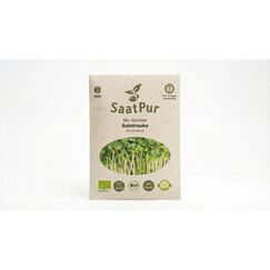 Bio-Keimsaat Microgreens Salatrauke / Ruccola