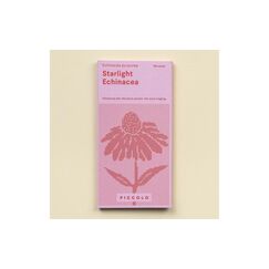 Echinacea Starlight - Purpursonnenhut