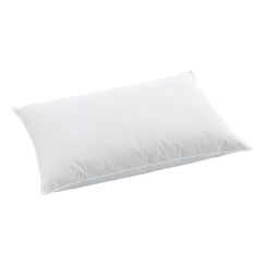 Billerbeck Kopfkissen Clima Soft Basic 90 Entendaunen 90%, 65x100cm