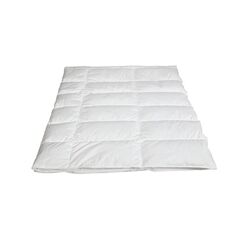 Albis Arven 100 Daunenduvet 160x210 160x210 cm, Sommerduvet