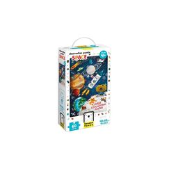 Banana Panda Puzzle Observation Space
