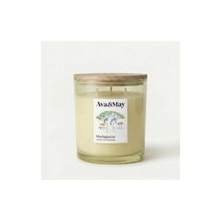 AVA & MAY Duftkerze Madagascar, 550 gr Brenndauer 70h, 100% pflanzlicher Wachs