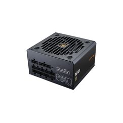 COUGAR Gaming Netzteil Cougar GR 850W 850W ATX3.1/PCIE 5.1 / 80 Plus Gold