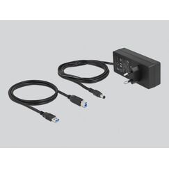 DeLOCK Externer USB 5 Gbps Hub mit 13 Ports + Schalter