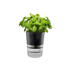 GEFU Kräutertopf BOTANICO 500 ml Wasserreservoir