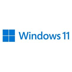 Microsoft Windows 11 Pro OEM