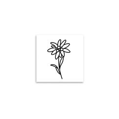 minink Tattoo Edelweiss Blume Grösse: S (2.4 cm x 4.2 cm)