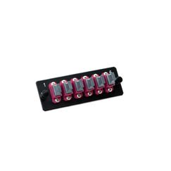 Lightwin MTP Adapter Platte 06xMTP Adapter, magenta