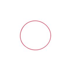 OM Digital Solutions Olympus Dichtungsring POL-050 Kunststoff Rot