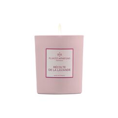 Plantes & Parfums De Provence PLANTES & PARFUMS Duftkerze 180gr Lavendel Ernte/Récolte de la Lavande