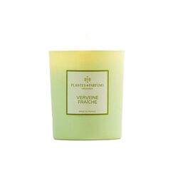 Plantes & Parfums De Provence PLANTES & PARFUMS Duftkerze 180gr Frische Verveine/Verveine Fraîche