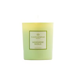 Plantes & Parfums De Provence PLANTES & PARFUMS Duftkerze 180gr Mandarine Basilikum/Mandarine Basilic