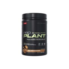 VAST Pulver Pro Plant Protein Isolate Salted Caramel