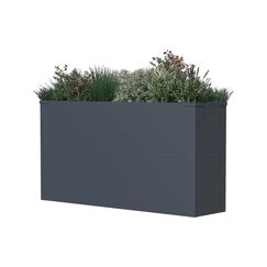 Westmann Metall Pflanzkübel Talus L 25x100x52cm