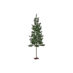 Star Trading Weihnachtsbaum Tallis Indoor, Grün, 200cm