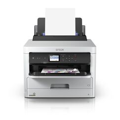 Epson DURABrite Pro