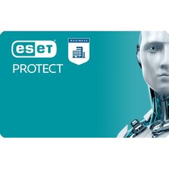 ESET PROTECT Entry Sicherheitsmanagement Basis 11-25 Lizenz(en) 2 Jahr(e)