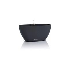 LECHUZA NAVIO Color 20