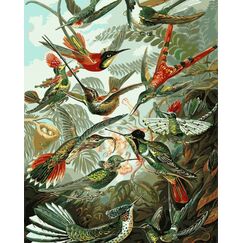 Colorelle MNZ Kolibri Malen nach Zahlen Set