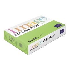 Antalis Image Coloraction Druckerpapier A4 (210x297 mm) 2500 Blätter Grün