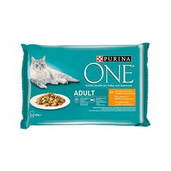 Purina Adult Katze