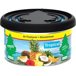 Wunder-Baum Tropical