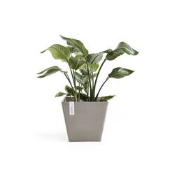 Ecopots Rotterdam Beige 1 Stück(e)
