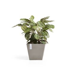Ecopots Rotterdam Beige 1 Stück(e)