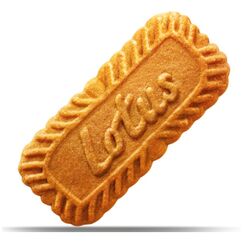 Lotus Bakeries Biscoff Classic Plätzchen 250 g