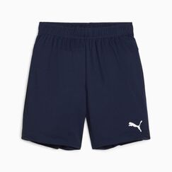 PUMA teamGOAL