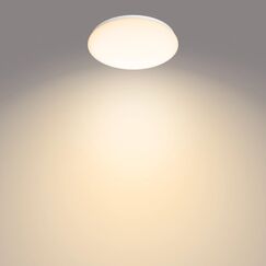 Philips Funktional Moire Deckenleuchte, 17 W
