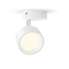Philips Bracia Decken-/Wandspot