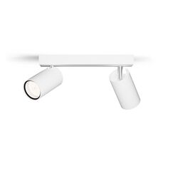Philips Idris Decken-/Wandspot 2x