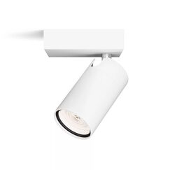 Philips Idris Decken-/Wandspot
