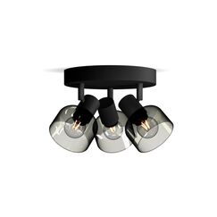 Philips Sleet Decken-/Wandspot 3x