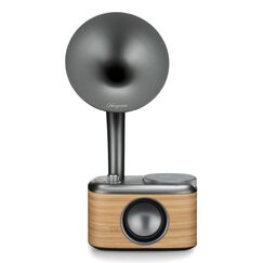 Sangean CP-100D Tragbar Digital Grau, Holz
