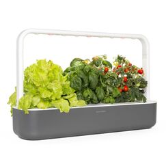 Click & Grow Smart Garden 9 Garten Grau